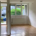 Rent 2 bedroom apartment of 50 m² in rotterdam