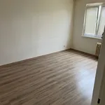 Rent 1 bedroom apartment in Chomutov