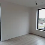 Huur 4 slaapkamer huis van 221 m² in MARIAKERKE