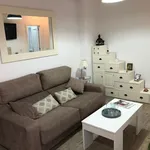 Rent 1 bedroom apartment of 50 m² in Málaga