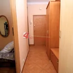 Rent 2 bedroom apartment of 47 m² in Tarnów