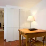 Rent 1 bedroom apartment in berlin