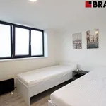 Rent 2 bedroom apartment of 33 m² in Brno