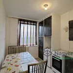 Rent 2 bedroom apartment of 44 m² in Debrecen