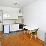 Rent 2 bedroom apartment of 46 m² in Prague