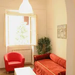 Rent 1 bedroom apartment in Florence