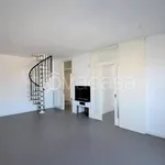 Rent 3 bedroom apartment of 100 m² in Porto San Giorgio