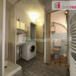 Rent 1 bedroom house of 100 m² in Valtice