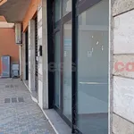 Affitto 1 camera appartamento di 600 m² in Frosinone