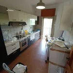 Rent 4 bedroom apartment of 20 m² in Rome