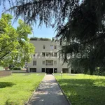 Rent 1 bedroom apartment of 45 m² in Monza