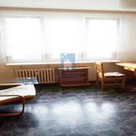 Rent 1 bedroom apartment of 28 m² in Prague