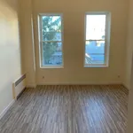 Rent 1 bedroom apartment of 282 m² in Brooklyn