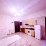 Rent 1 bedroom apartment of 36 m² in Bologna