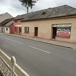 Rent 1 bedroom house in Uherské Hradiště