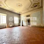 Rent 5 bedroom apartment of 520 m² in Lucca