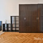 Rent 3 bedroom apartment of 135 m² in Brno