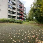 Miete 2 Schlafzimmer wohnung von 43 m² in Siegen