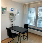 Rent 1 bedroom apartment in Bern