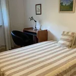 Rent a room in madrid