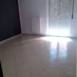 Rent 3 bedroom apartment of 80 m² in Bari