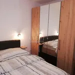 Rent 3 bedroom apartment of 58 m² in Grad Rijeka