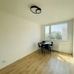 Rent 2 bedroom apartment of 32 m² in Prague