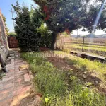 Rent 3 bedroom house of 100 m² in Piacenza