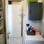 Rent 3 bedroom apartment of 85 m² in Bologna