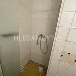 Rent 1 bedroom apartment of 33 m² in Capital City of Prague