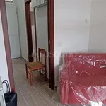 Affitto 1 camera appartamento di 35 m² in Frosinone