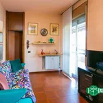 Rent 1 bedroom apartment of 42 m² in Castellanza