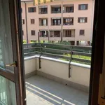 Rent 2 bedroom apartment of 55 m² in Monza