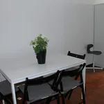 Rent 1 bedroom apartment in Rome