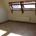 Rent 2 bedroom apartment in Puurs-Sint-Amands