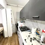 Rent 2 bedroom apartment of 55 m² in padova