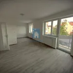 Rent 1 bedroom apartment of 46 m² in Pilsen