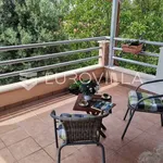 Rent 4 bedroom house of 350 m² in Podstrana