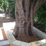 Ενοικίαση 5 υπνοδωμάτιο σπίτι από 306 m² σε Nea Makri Municipal Unit