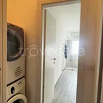 Rent 2 bedroom apartment of 60 m² in Torino