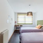 Rent 1 bedroom apartment in Porto