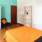 Rent a room in Bologna