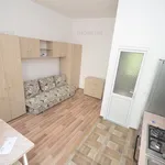 Rent 1 bedroom apartment of 20 m² in Timișoara