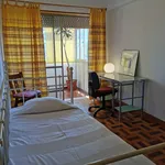 Rent 4 bedroom apartment in Lisbon