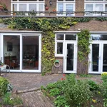 Rent 3 bedroom apartment of 110 m² in Den Haag