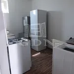 Rent 9 bedroom apartment of 250 m² in Gyál