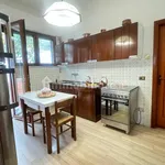 Apartment good condition, ground floor, Pietrasanta