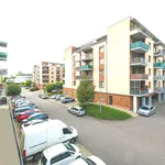 Rent 1 bedroom house in Brno