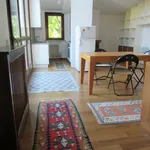 Rent 1 bedroom apartment of 50 m² in Treviso