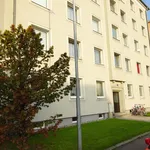 Rent 2 bedroom apartment of 54 m² in Freistadt